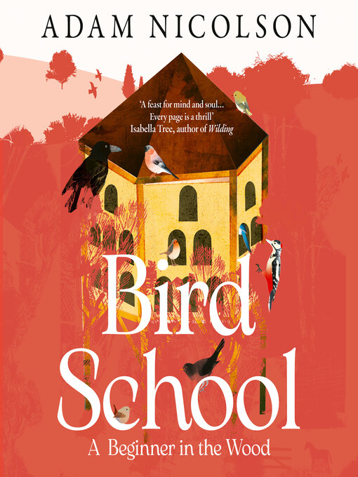 Cover image for Bird School